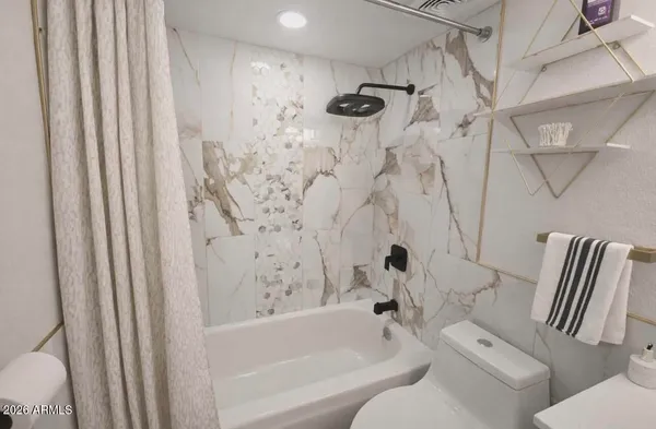a bathroom with a toilet and a bathtub