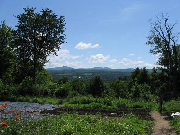 190 Wheeler Road East Montpelier, VT 05651 - Photo 14 of 17 Gallery Image 14