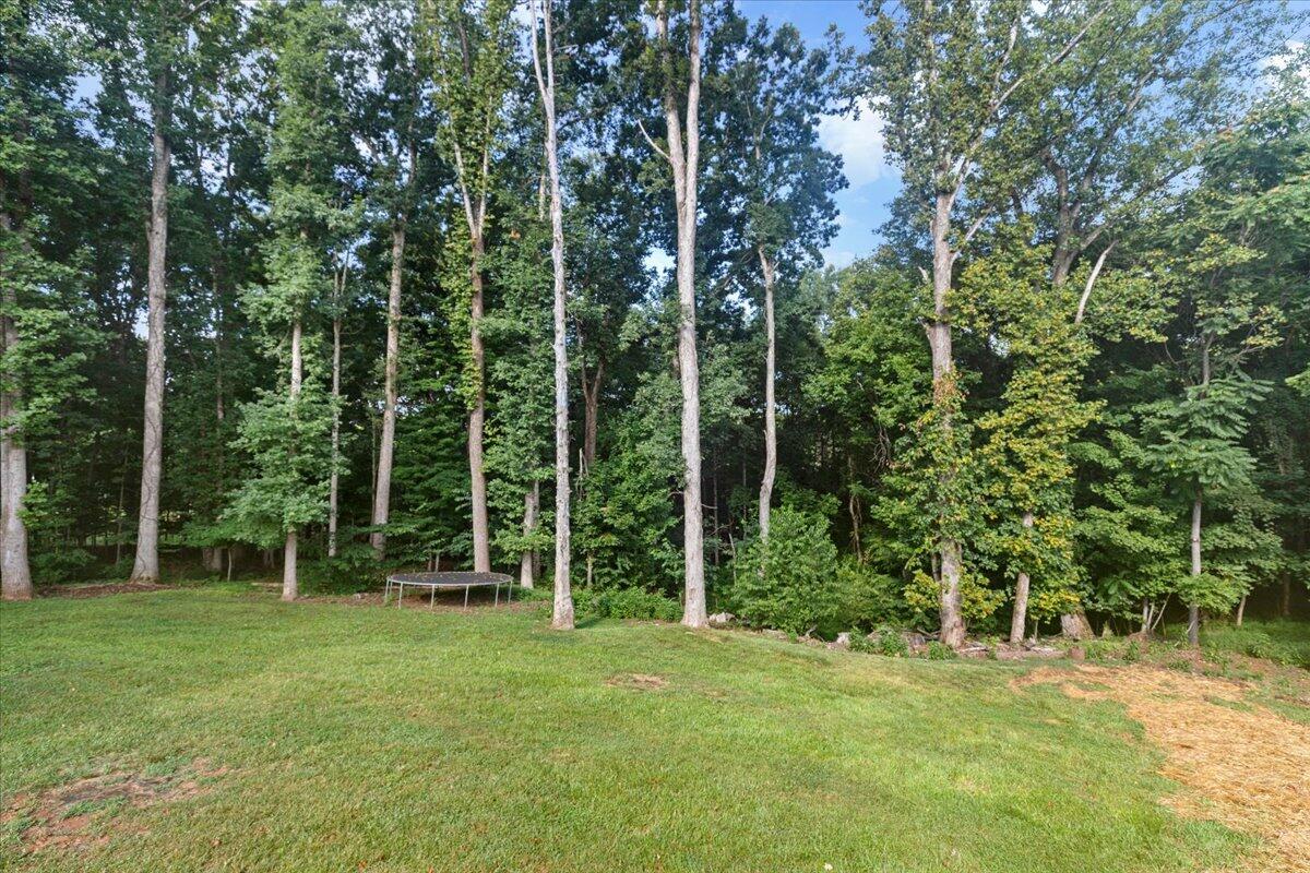 1015 Bonbrook Mill Road Rocky Mount, VA 24151 - Photo 38 of 58 39-IMG_1824