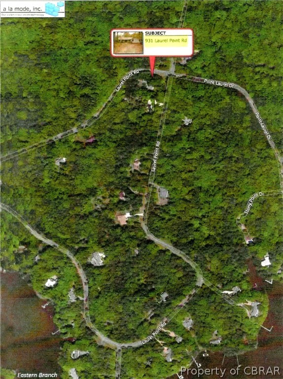 931 Laurel Point Road Lancaster, VA 22503 - Photo 20 of 21 a view of a yard with a tree