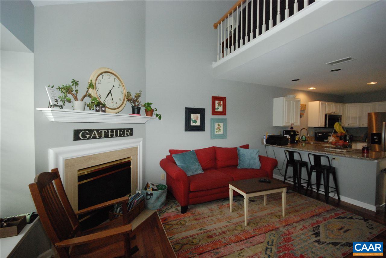 987 Amber Ridge Road Charlottesville, VA 22901 - Photo 2 of 19 a living room with furniture a rug and a fireplace