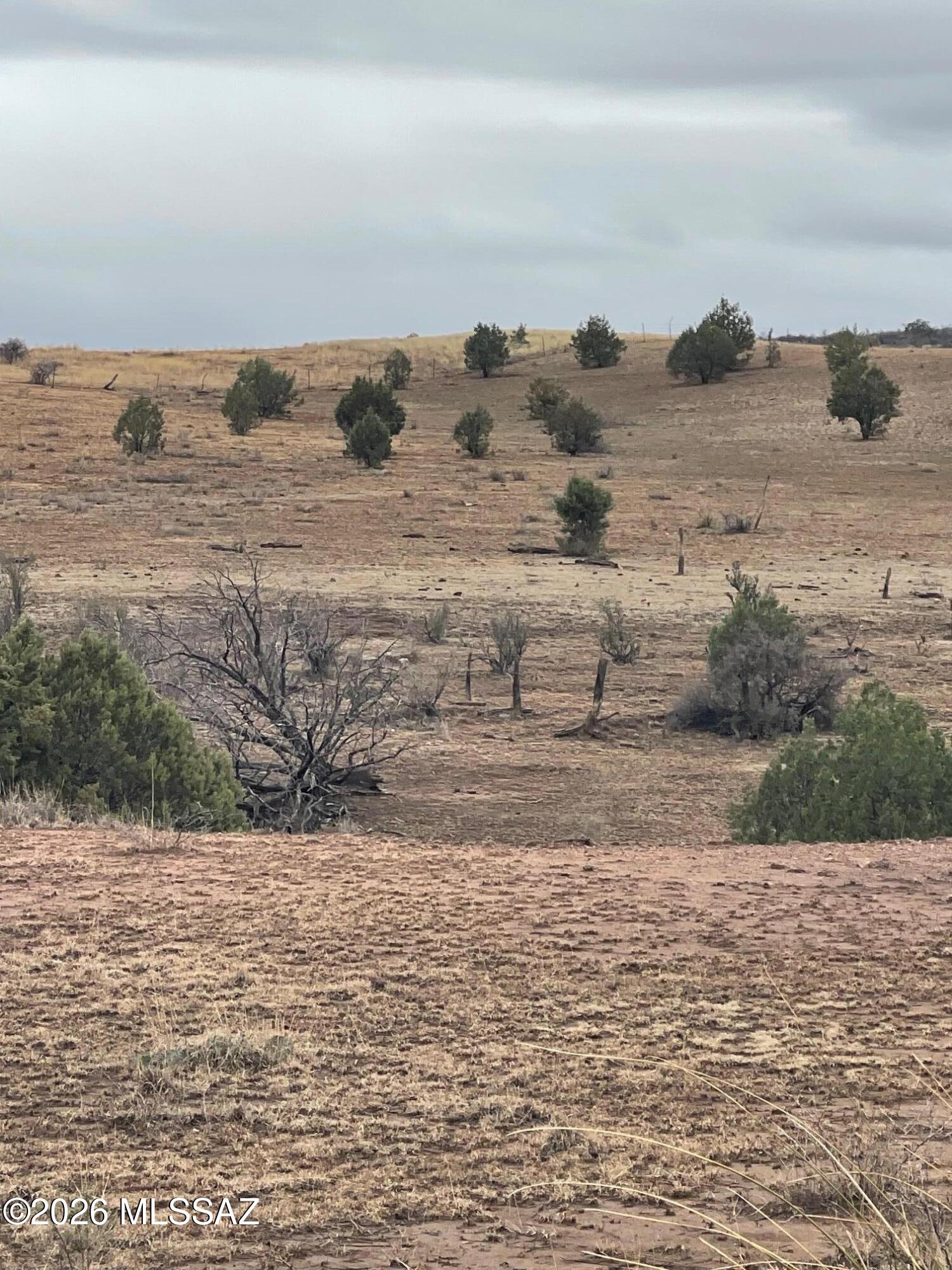 0 Vaughn Loop Road Elgin, AZ 85611 - Photo 6 of 9