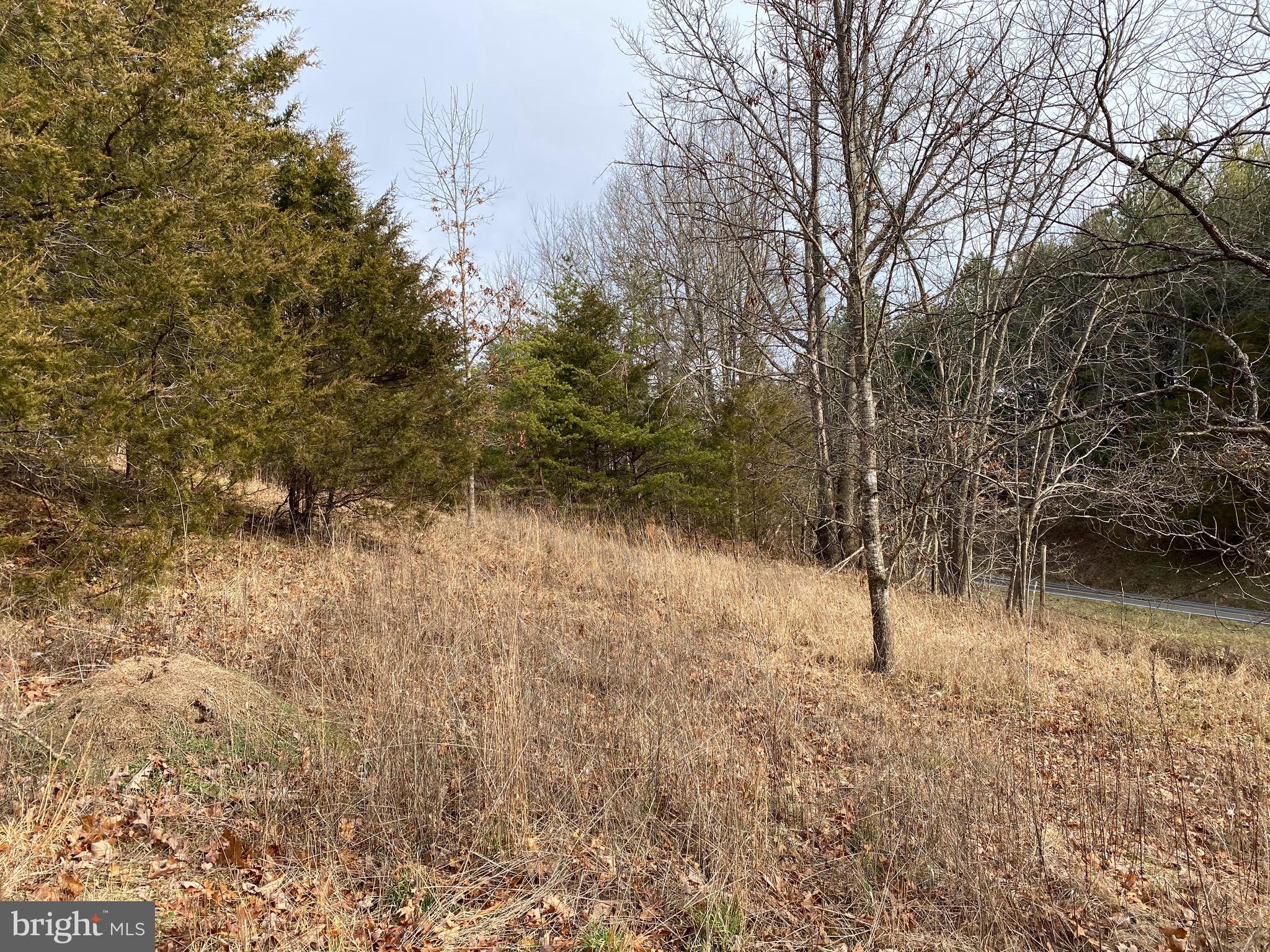 0 Senedo Rd Mount Mount Jackson, VA 22842 - Photo 19 of 30 a view of a lake with lots of trees