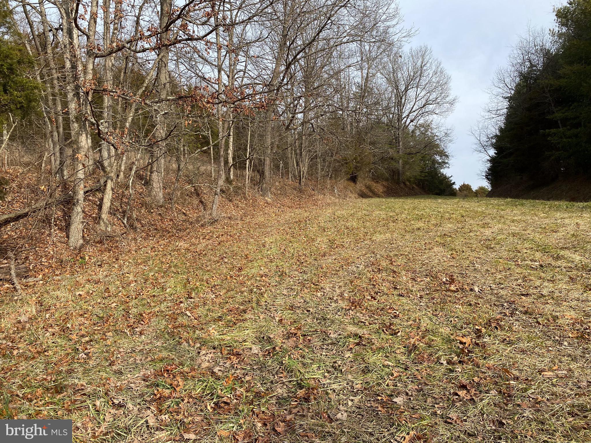 0 Senedo Rd Mount Mount Jackson, VA 22842 - Photo 20 of 30 a view of natural light