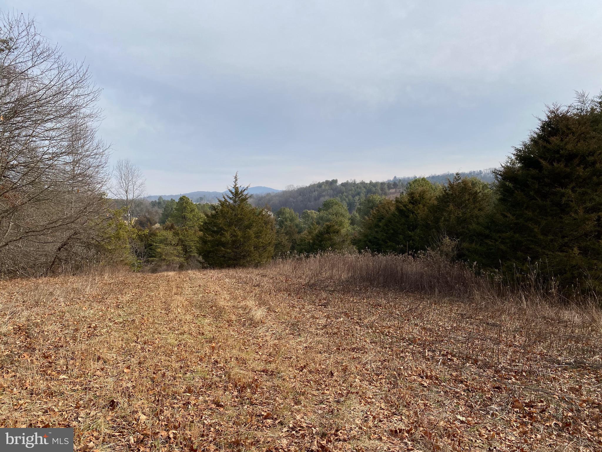 0 Senedo Rd Mount Mount Jackson, VA 22842 - Photo 2 of 30 a view of mountain with lake view