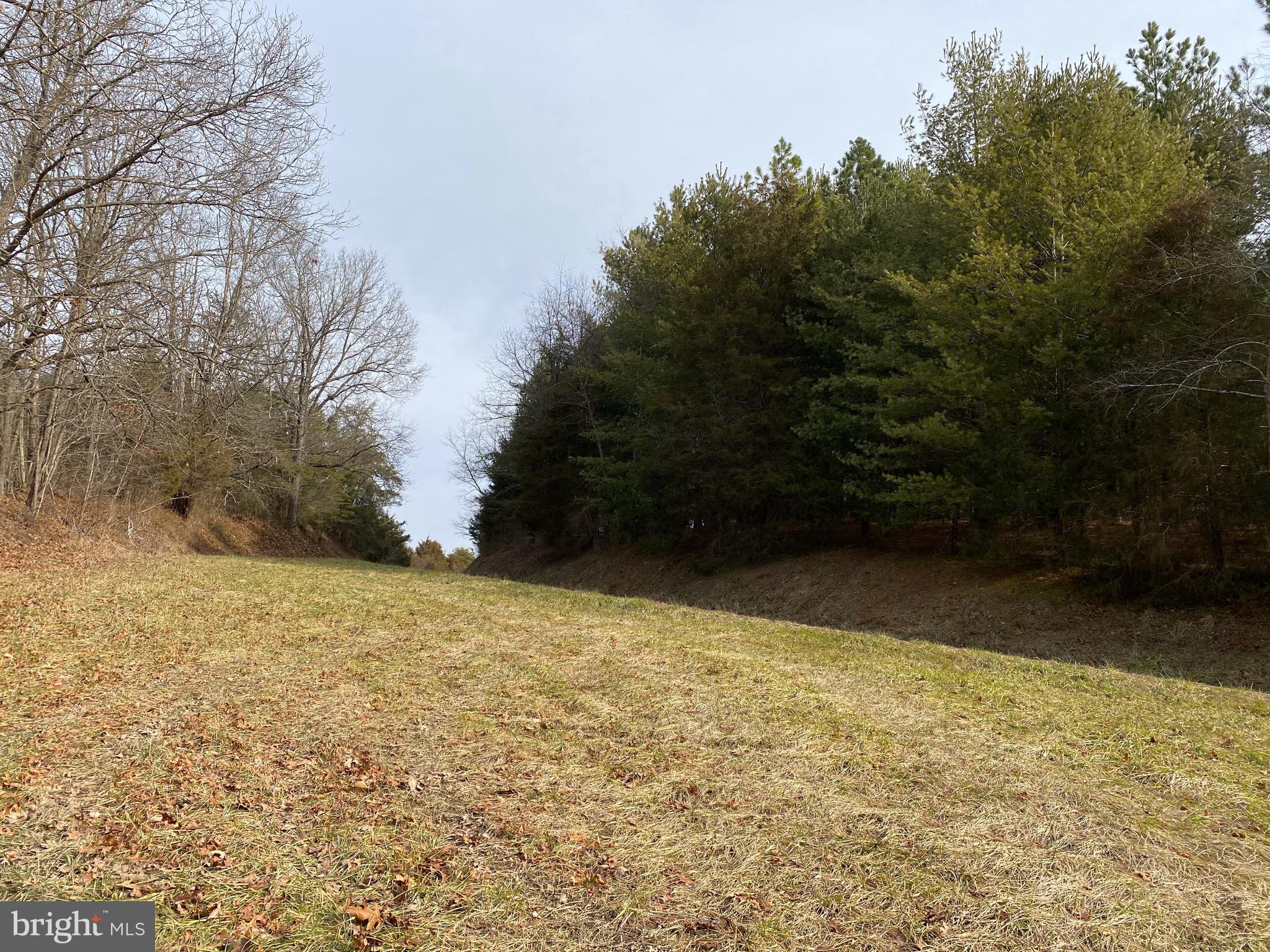 0 Senedo Rd Mount Mount Jackson, VA 22842 - Photo 21 of 30