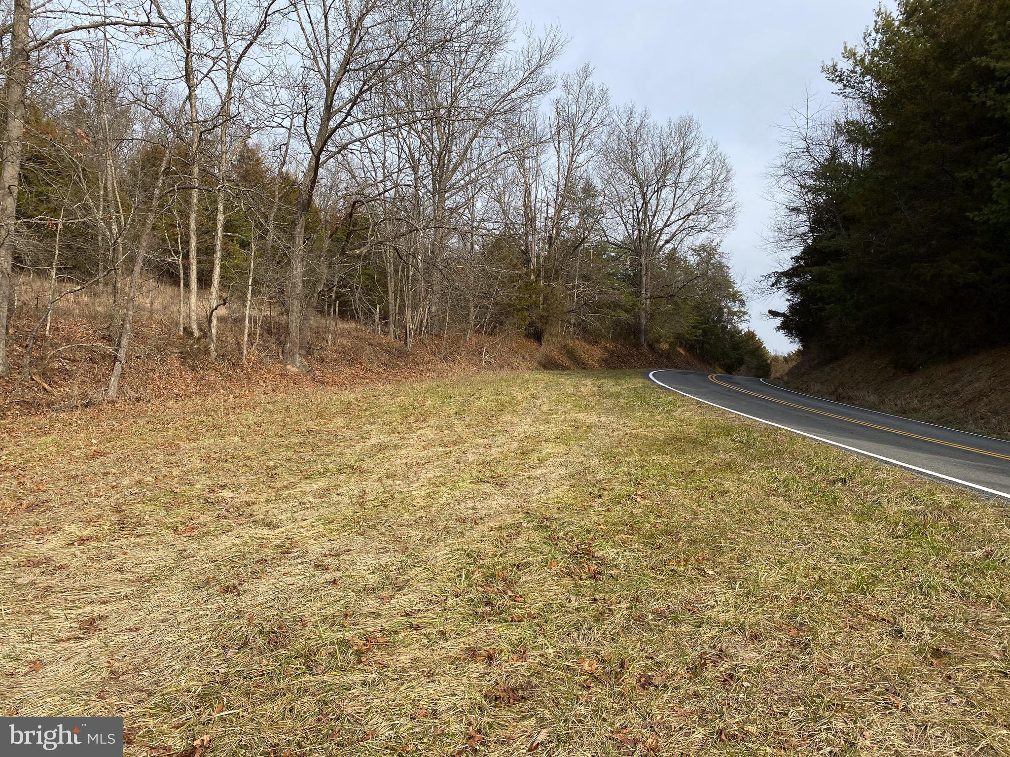 0 Senedo Rd Mount Mount Jackson, VA 22842 - Photo 23 of 30 a view of a yard with trees