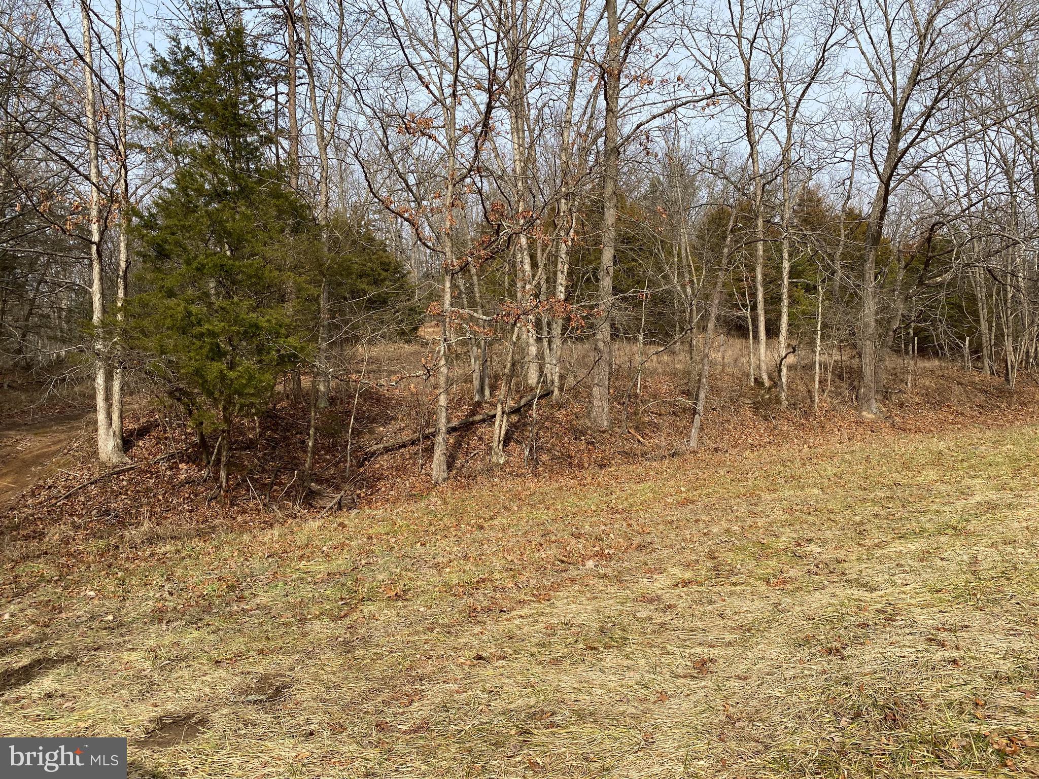 0 Senedo Rd Mount Mount Jackson, VA 22842 - Photo 24 of 30 a backyard of a house with lots of green space
