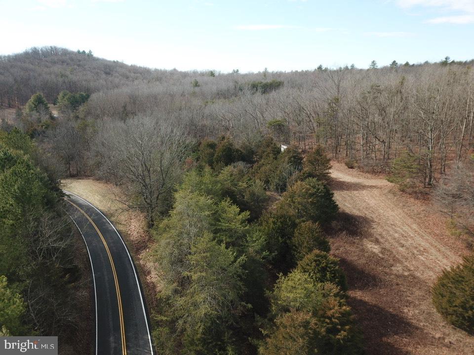 0 Senedo Rd Mount Mount Jackson, VA 22842 - Photo 27 of 30 a view of a forest with a street