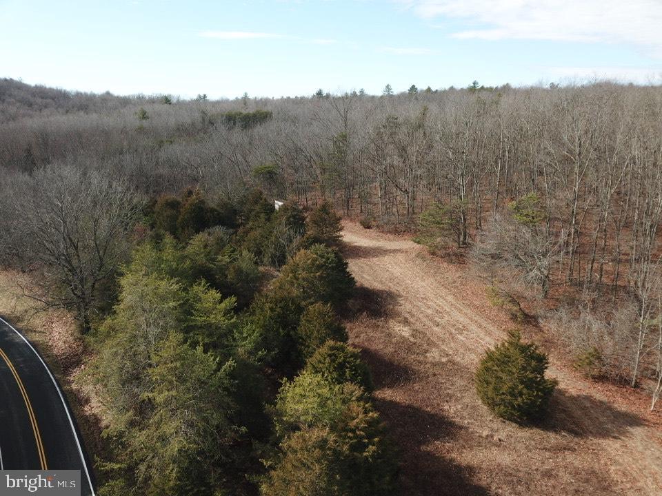 0 Senedo Rd Mount Mount Jackson, VA 22842 - Photo 28 of 30 a view of a forest with a street