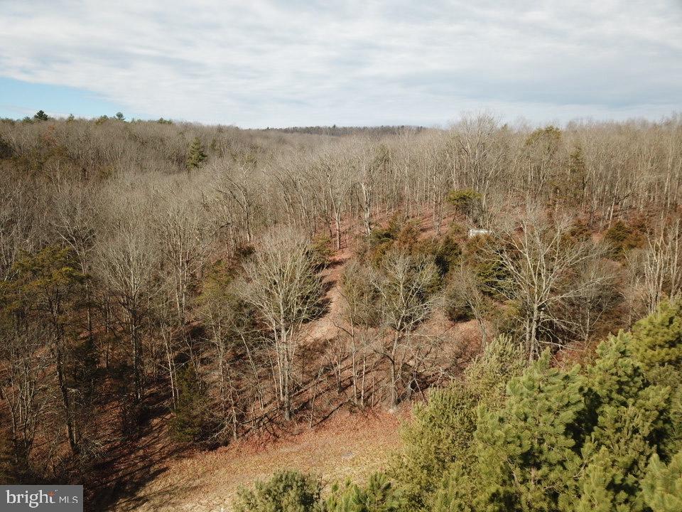 0 Senedo Rd Mount Mount Jackson, VA 22842 - Photo 30 of 30 a view of mountains and mountain