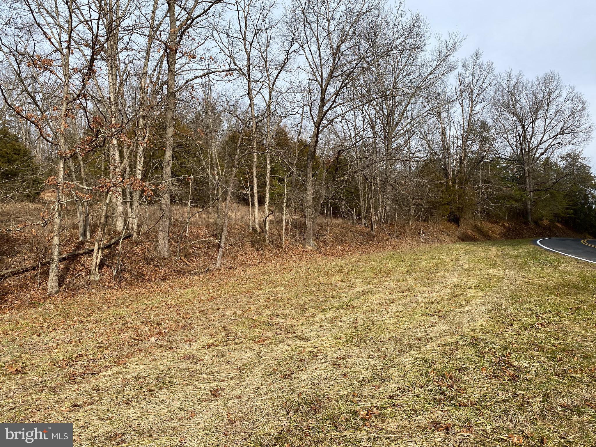 0 Senedo Rd Mount Mount Jackson, VA 22842 - Photo 3 of 30 a view of backyard with green space