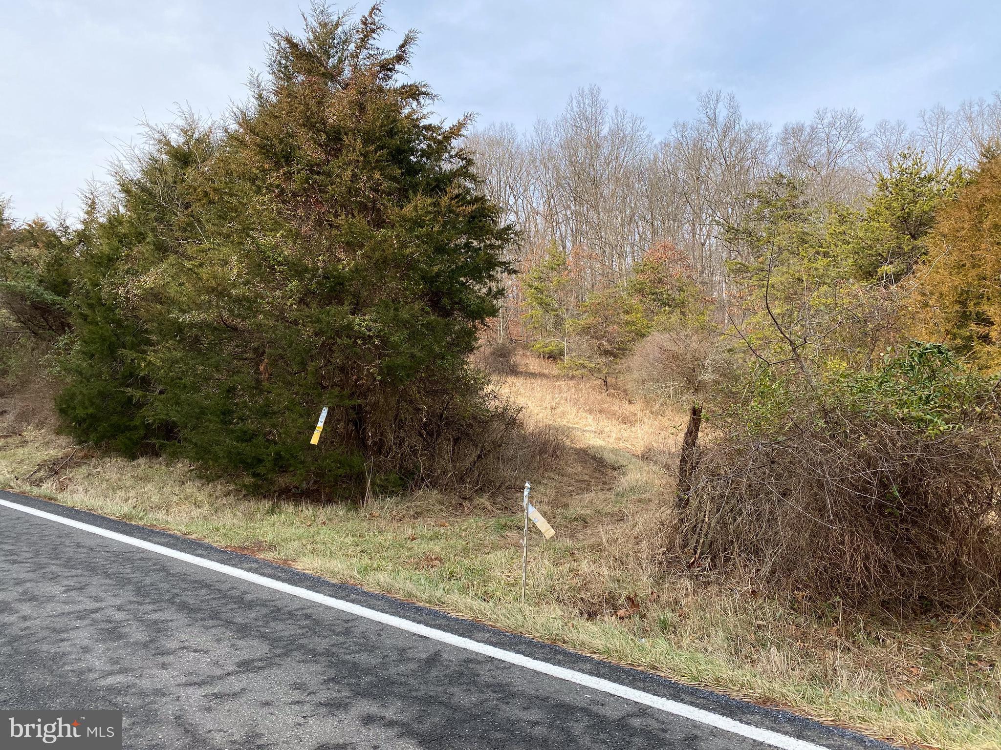 0 Senedo Rd Mount Mount Jackson, VA 22842 - Photo 5 of 30 a view of a yard with large trees