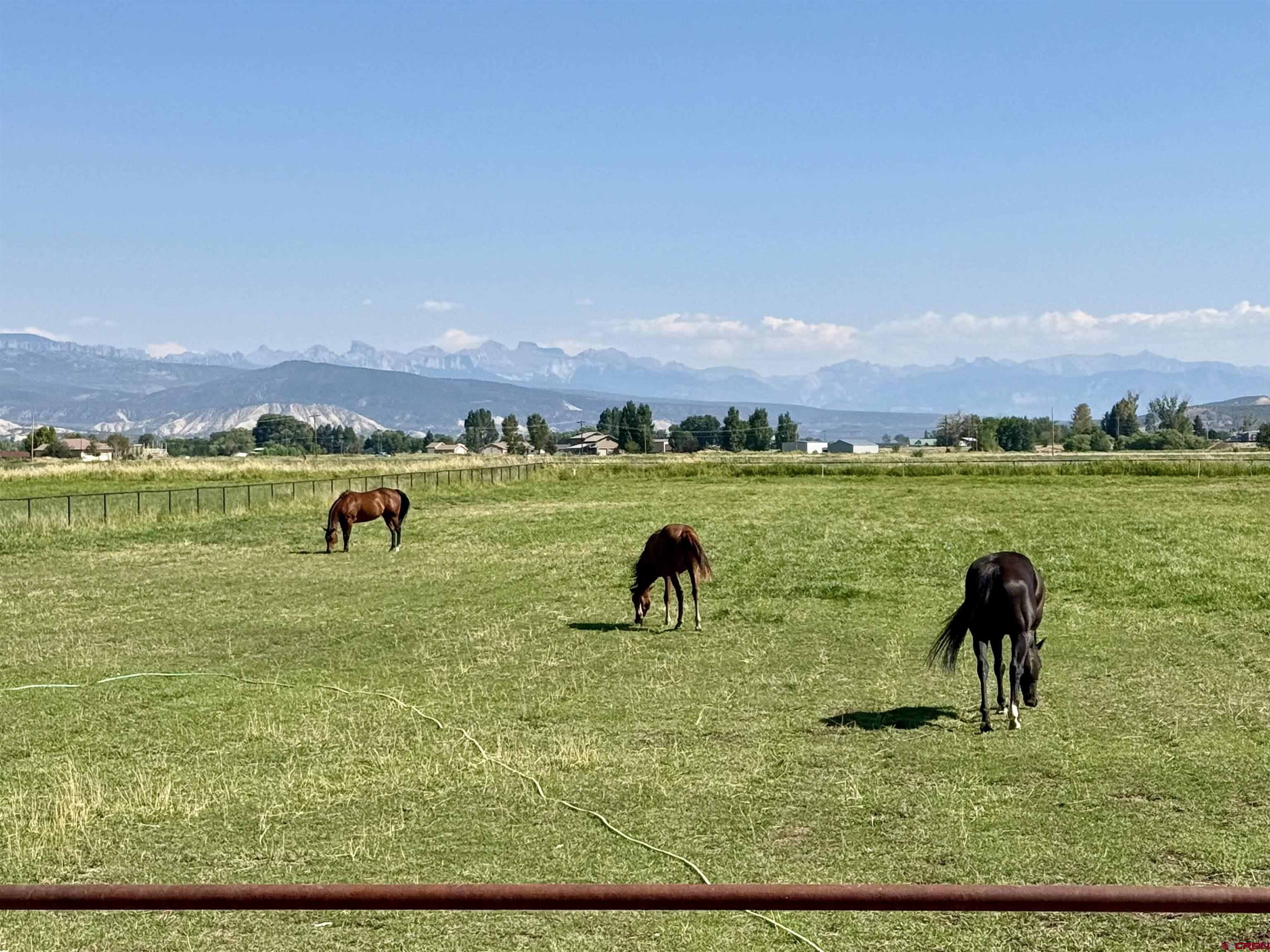 66176 Riverside Road Montrose, CO 81403 - Photo 45 of 45