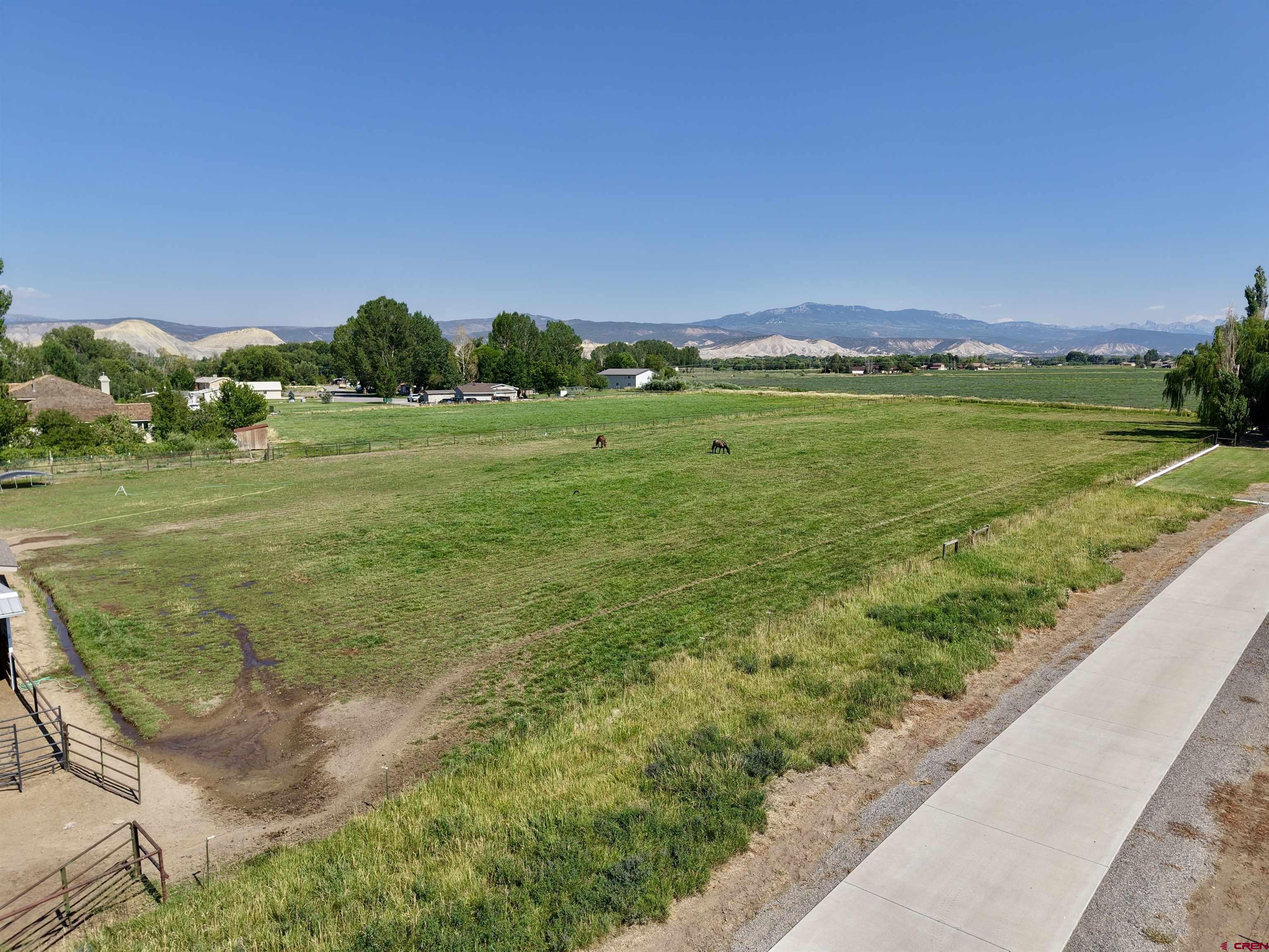 66176 Riverside Road Montrose, CO 81403 - Photo 5 of 45