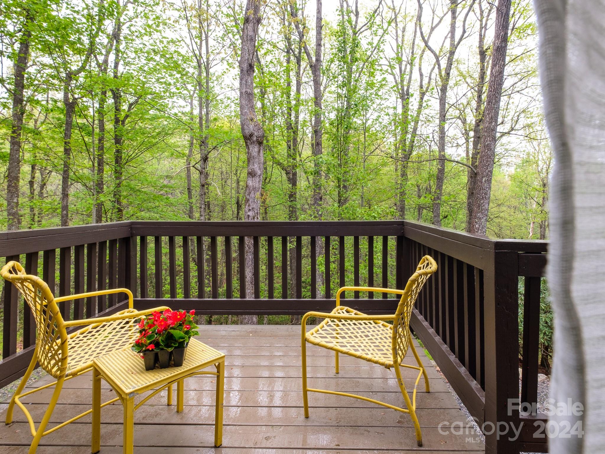 145 Catatoga Path Brevard, NC 28712 - Photo 19 of 41 a view of a two chairs in the balcony