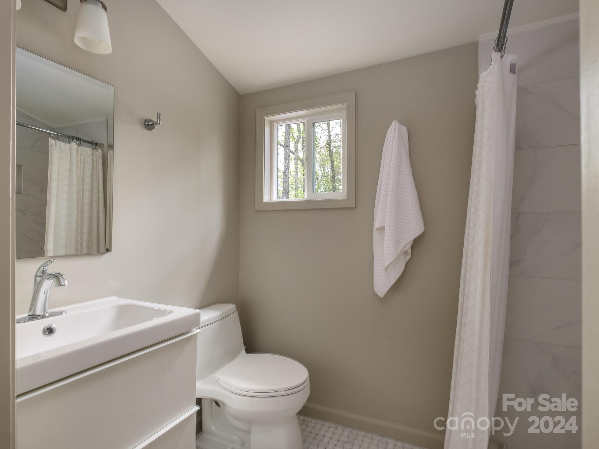 145 Catatoga Path Brevard, NC 28712 - Photo 34 of 41 a bathroom with a sink toilet and mirror