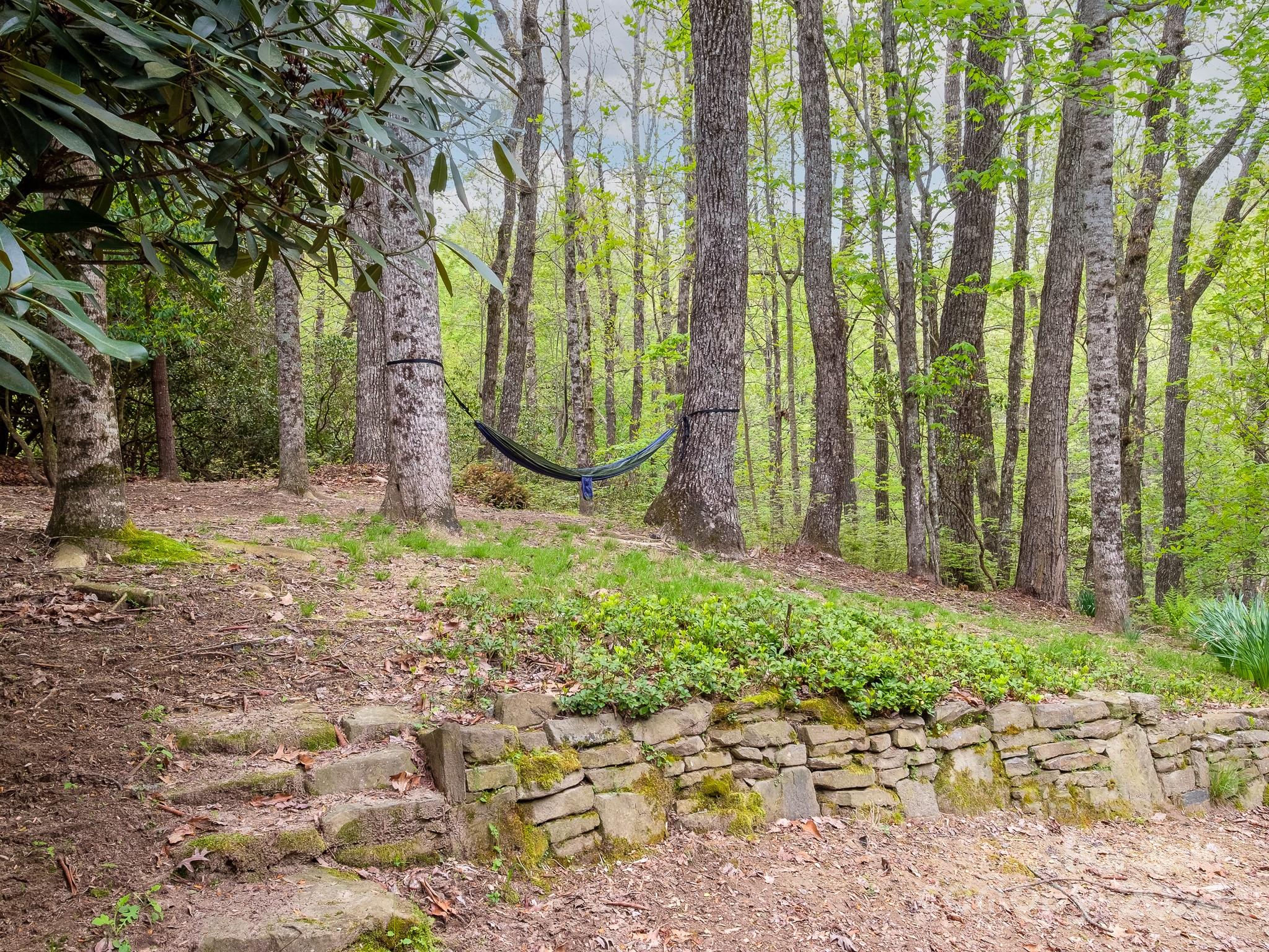 145 Catatoga Path Brevard, NC 28712 - Photo 36 of 41 a garden view