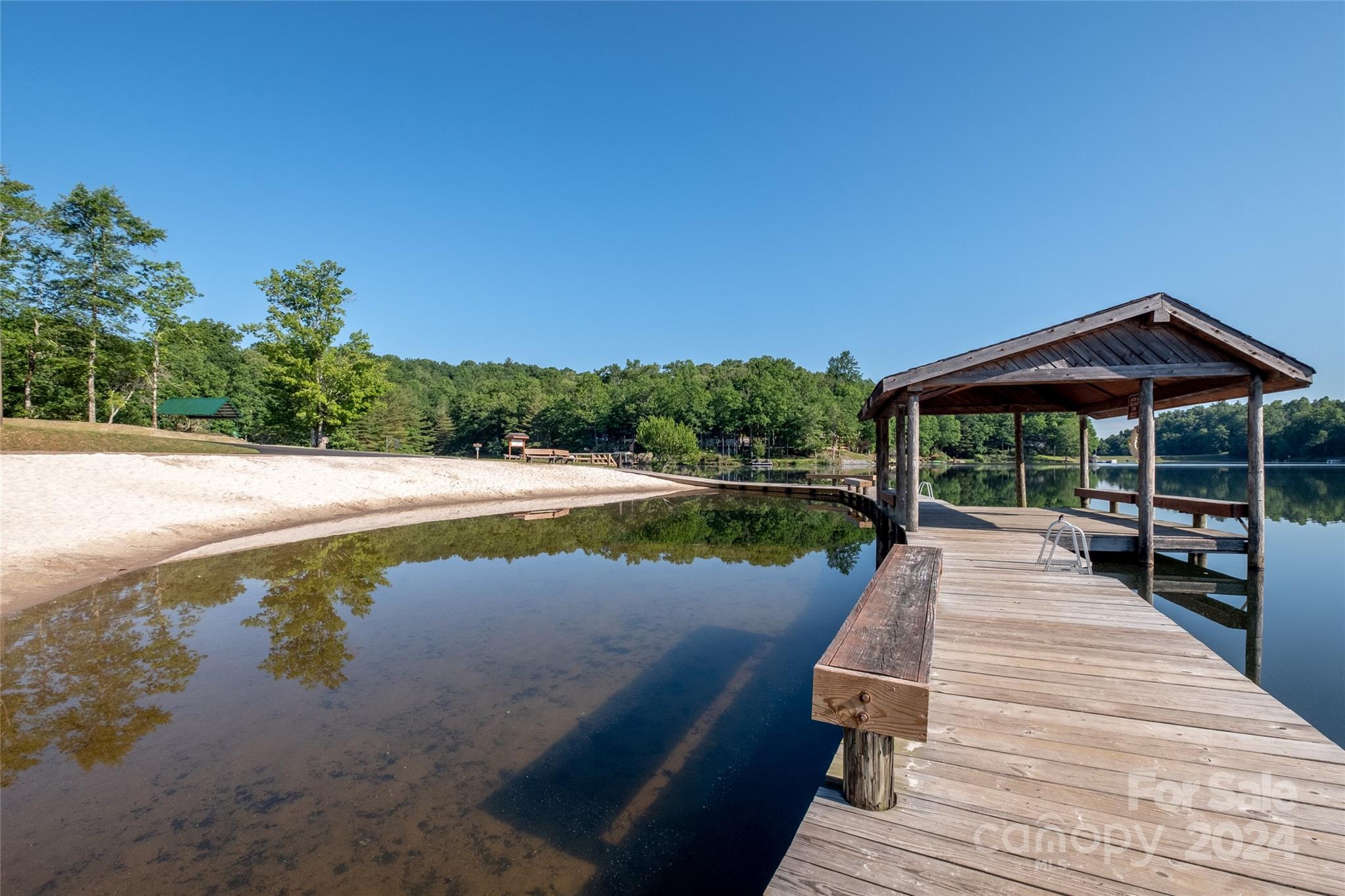 145 Catatoga Path Brevard, NC 28712 - Photo 38 of 41 a view of swimming pool with lounge chair