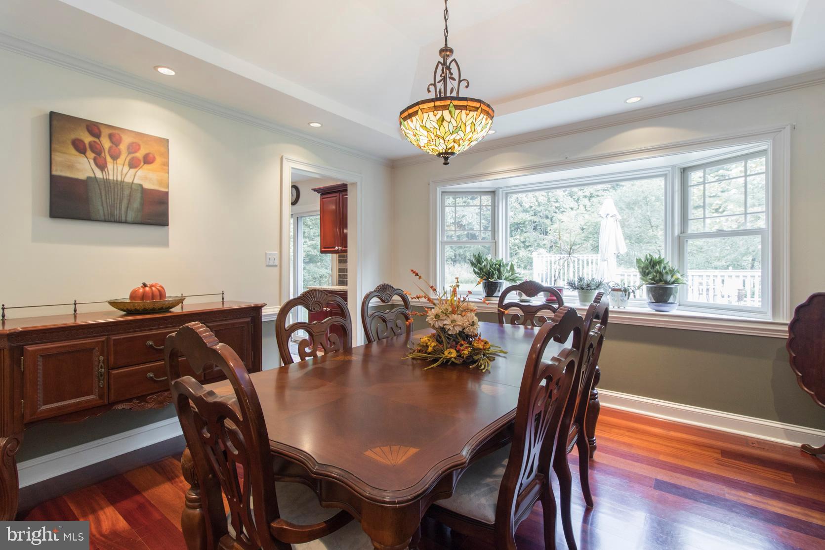 375 South Ridley Creek Road Media, PA 19063 - Photo 12 of 48 Recessed Lighting
