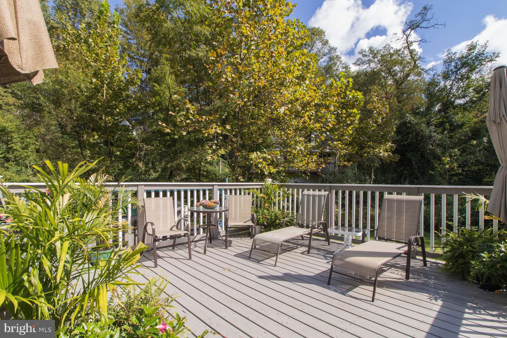 375 South Ridley Creek Road Media, PA 19063 - Photo 26 of 48 Rear Deck