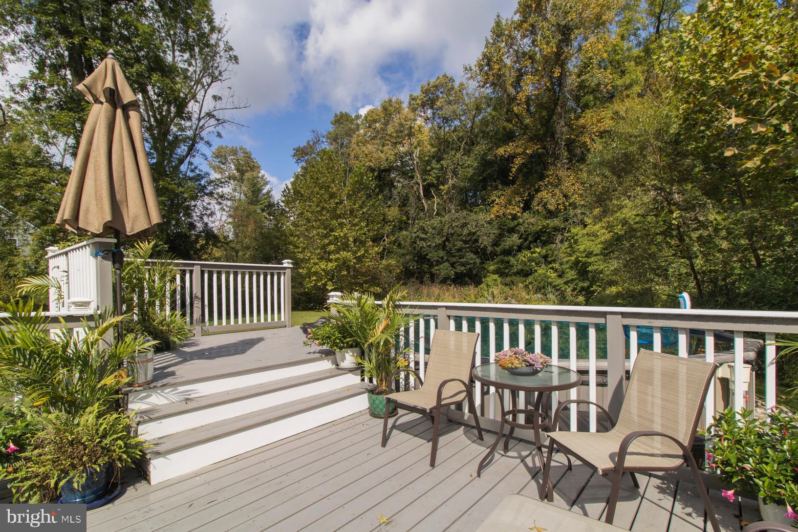 375 South Ridley Creek Road Media, PA 19063 - Photo 28 of 48 Steps Up to Pool
