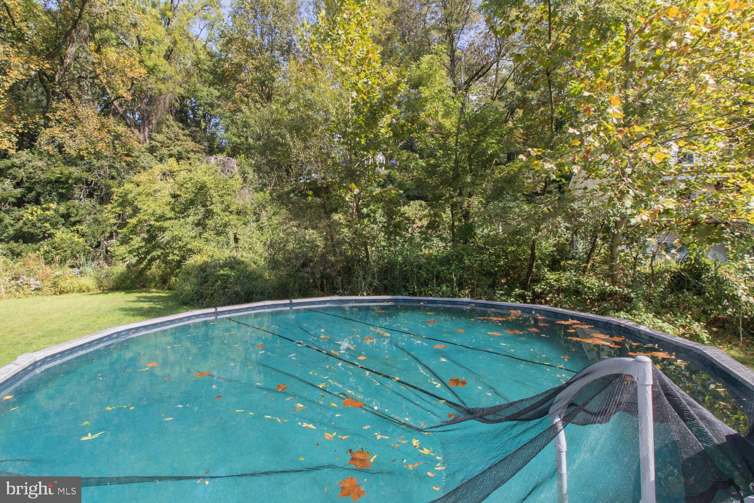 375 South Ridley Creek Road Media, PA 19063 - Photo 30 of 48 Summer Fun