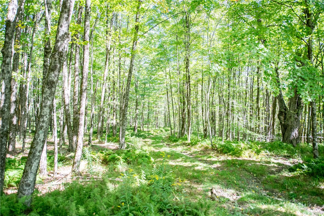 Terwilliger Road Livingston Manor, NY 12758 - Photo 10 of 10 Gallery Image 10