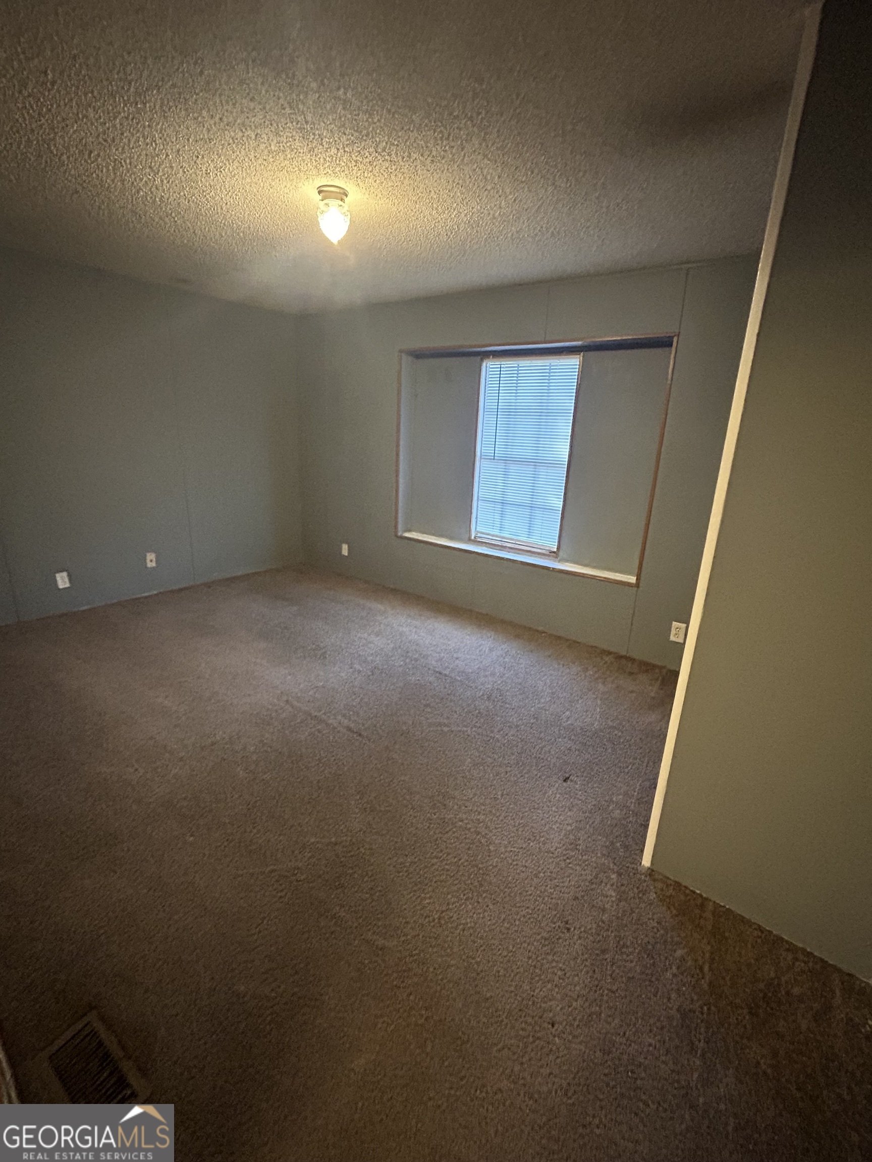 269 Lakeview Drive Locust Grove, GA 30248 - Photo 6 of 13 an empty room with windows