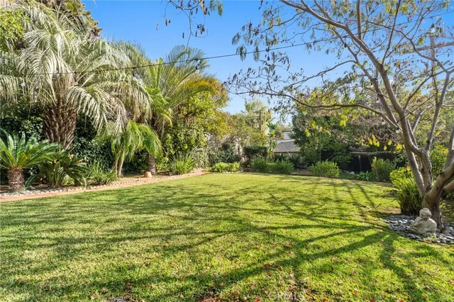 a view of a yard with plants and trees