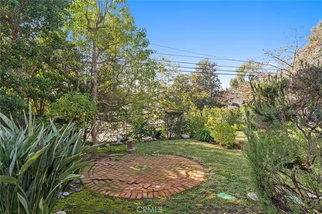 a view of a yard with plants and large trees