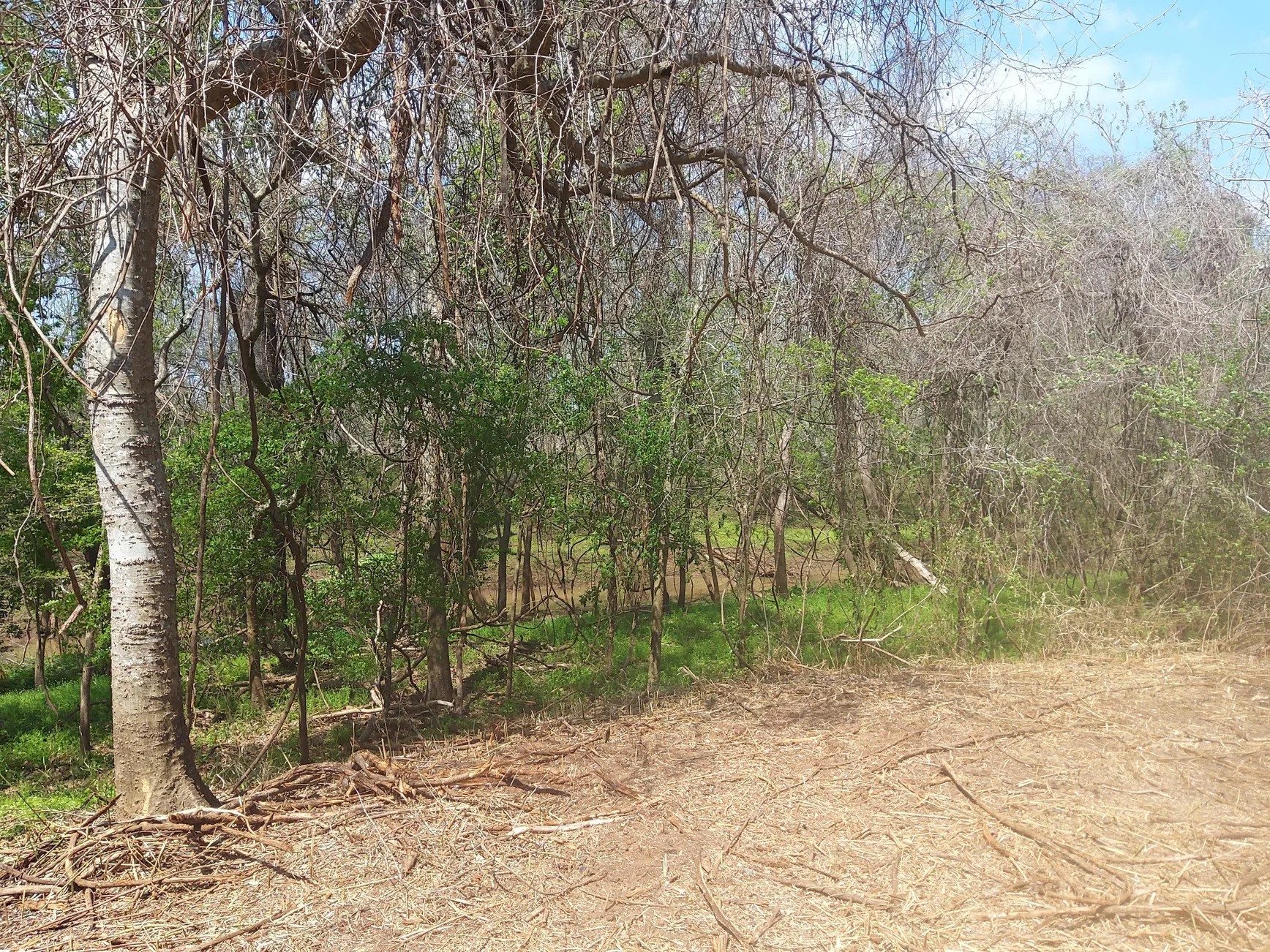Lot 2 Fm 521 Angleton, TX 77515 - Photo 17 of 26