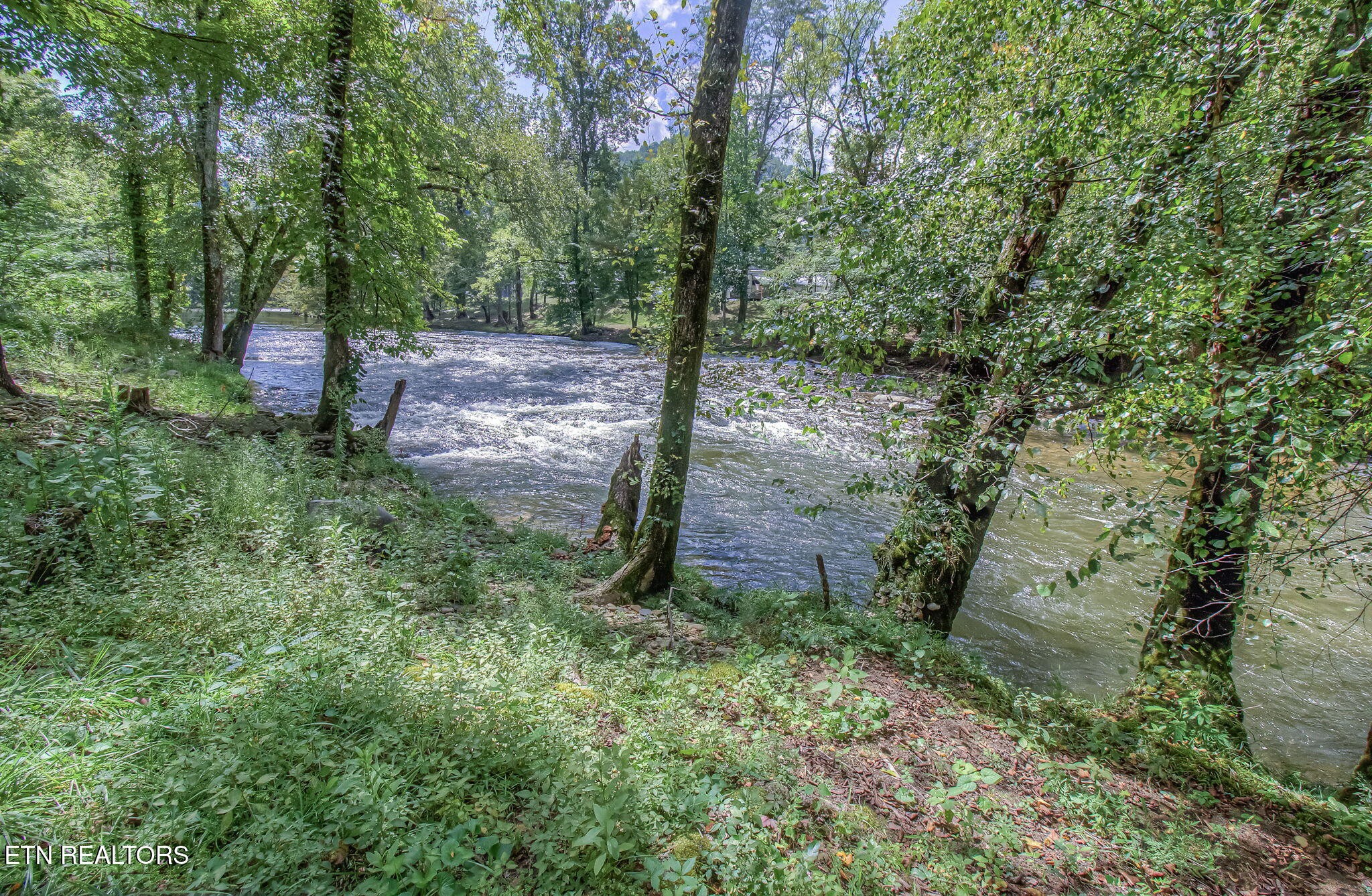 2485 Red Bank Road Sevierville, TN 37876 - Photo 4 of 57