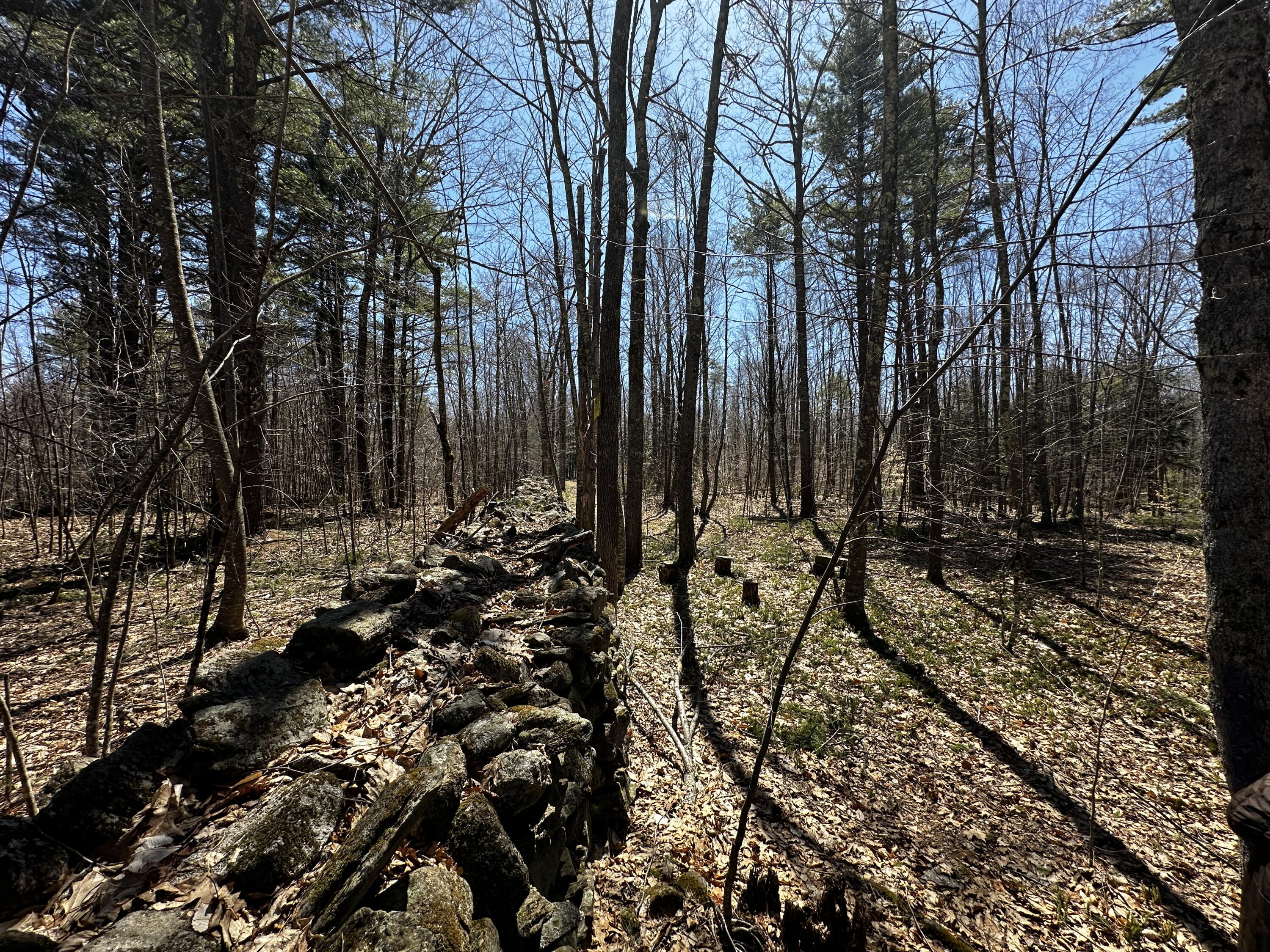 119 Lizotte Road Lebanon, ME 04027 - Photo 78 of 85 77