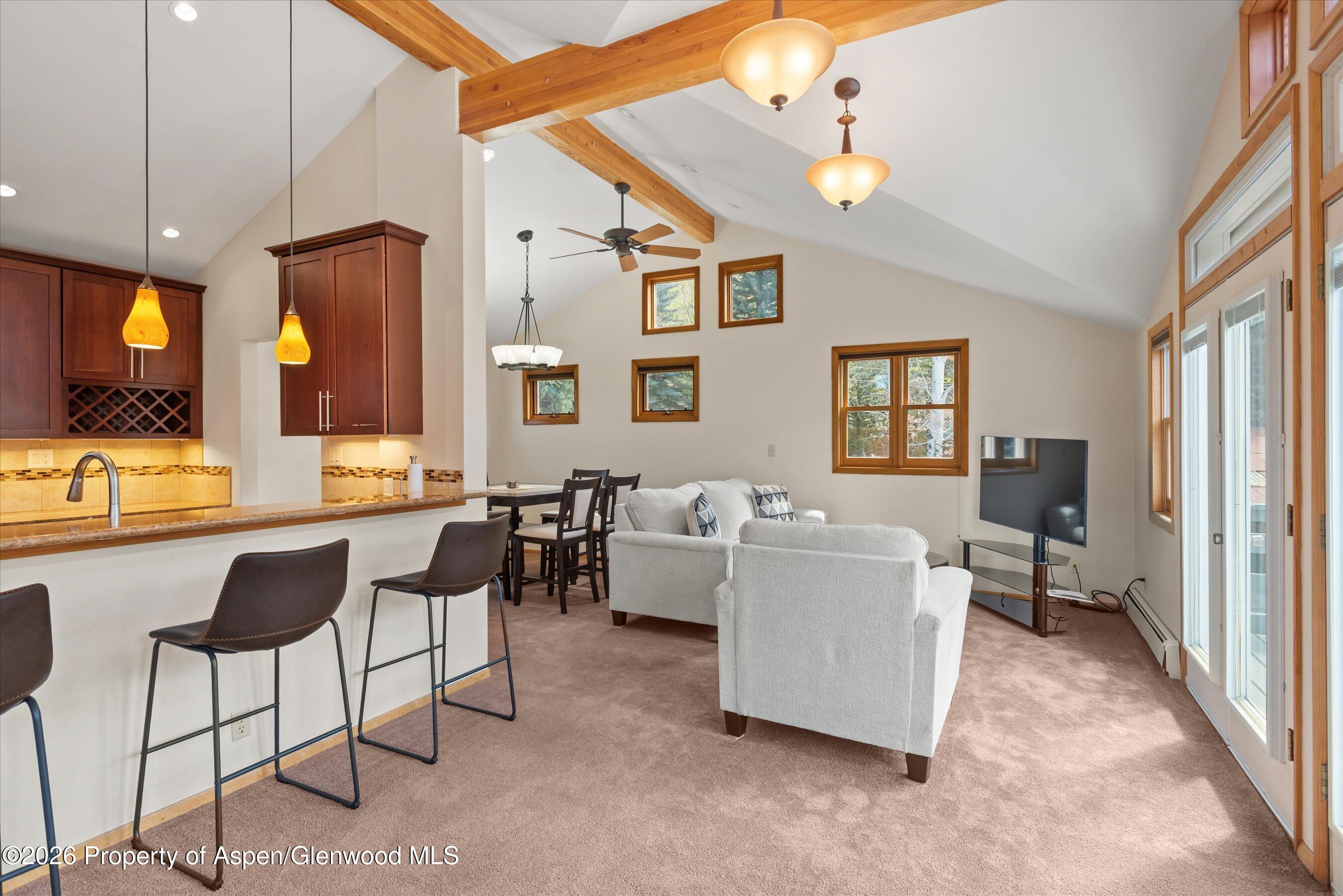 53 Spruce Street, Unit S 1 AND 2 Aspen, CO 81611 - Photo 65 of 67 02-02-536SpruceSt_250429002