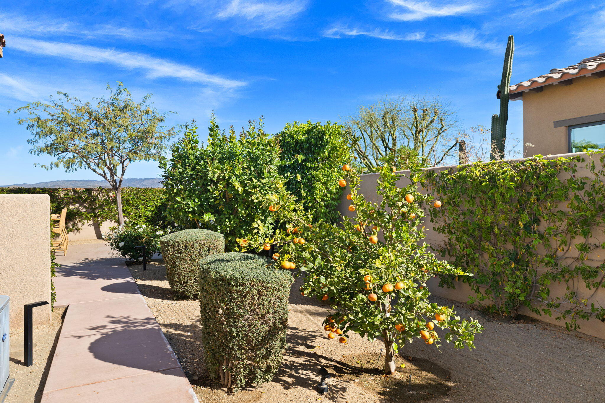 21 Alicante Circle Rancho Mirage, CA 92270 - Photo 69 of 97 67-web-or-mls-8M4A0416