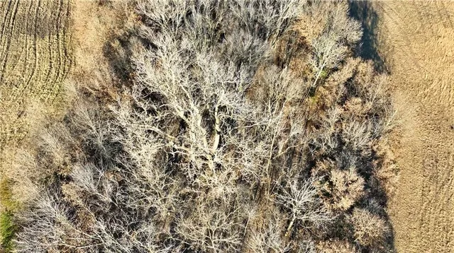 $291,200 | Hwy Ww Highway, Harris, MO 64645