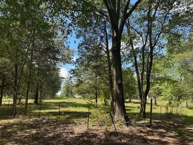 a view of backyard with green space