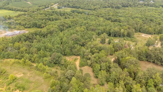 a view of a field of grass and trees