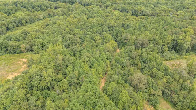 a view of a big yard