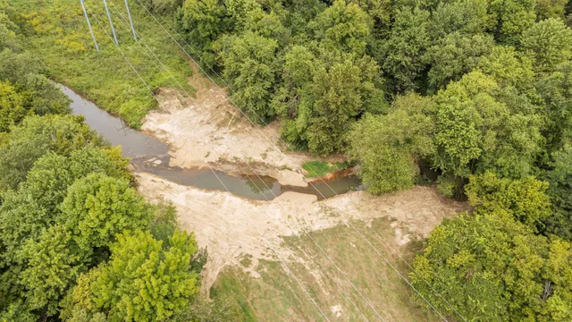 a view of a yard with trees