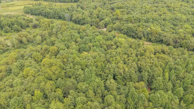 a view of a yard with an outdoor space