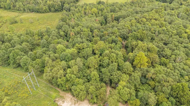 a view of a small yard