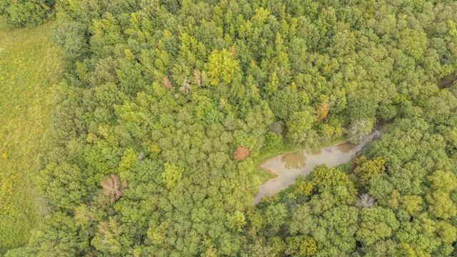 a view of a large yard with lots of bushes
