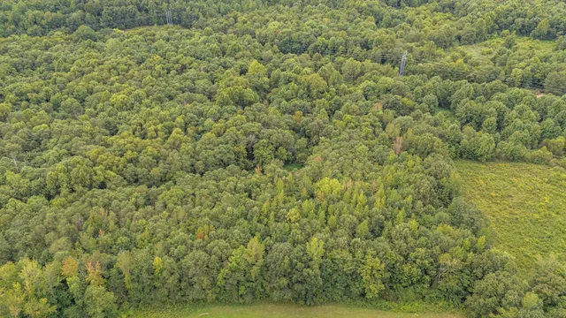 a view of a lake with houses
