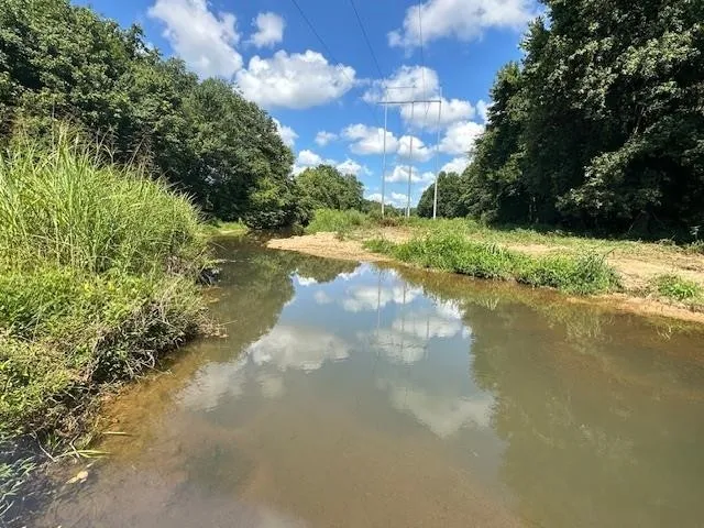 a view of a lake from a yard