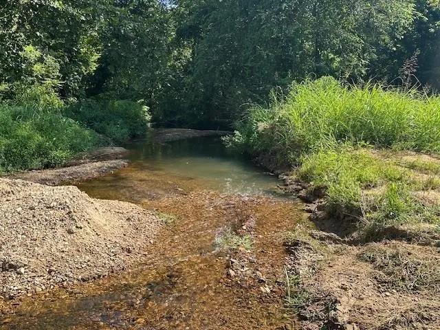 a view of backyard with green space