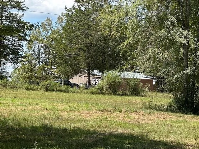 a view of outdoor space and yard