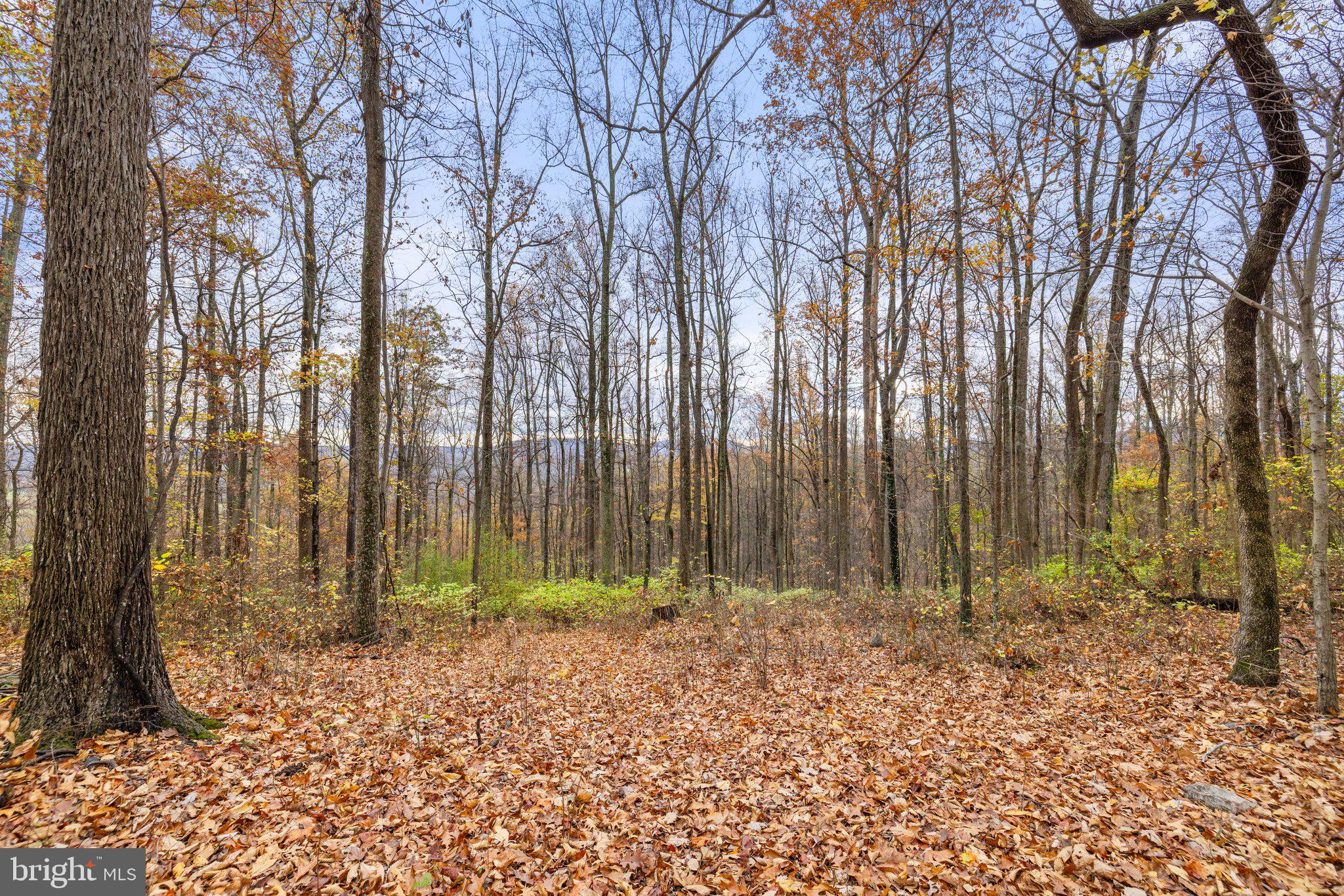 Welcome to the ridgeline of Long Mountain !