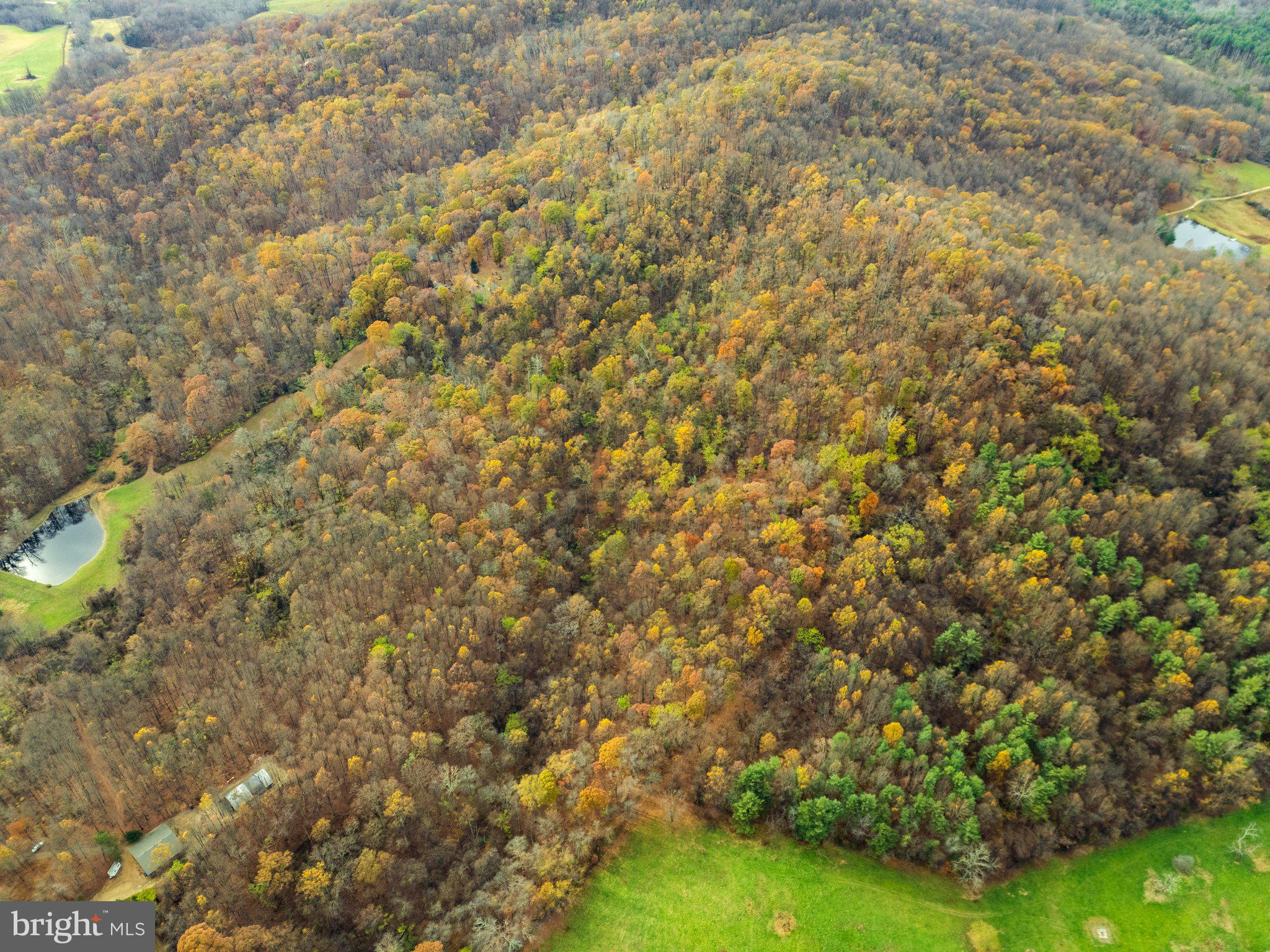 Took Crowell Lane Huntly, VA 22640 - Photo 11 of 15